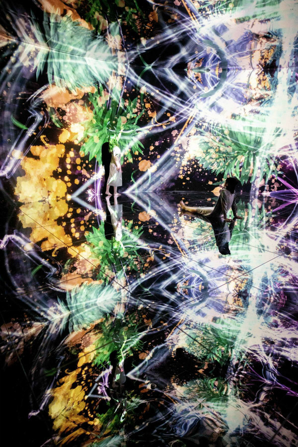 broken image